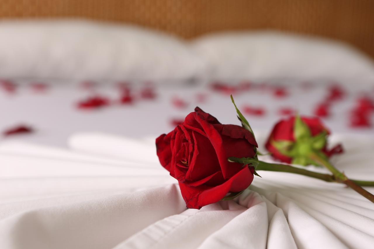 Hotel Anamichu Suites Melgar Esterno foto
